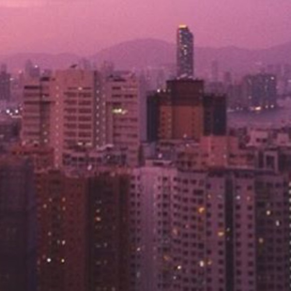 Meet your Posher, Bailey